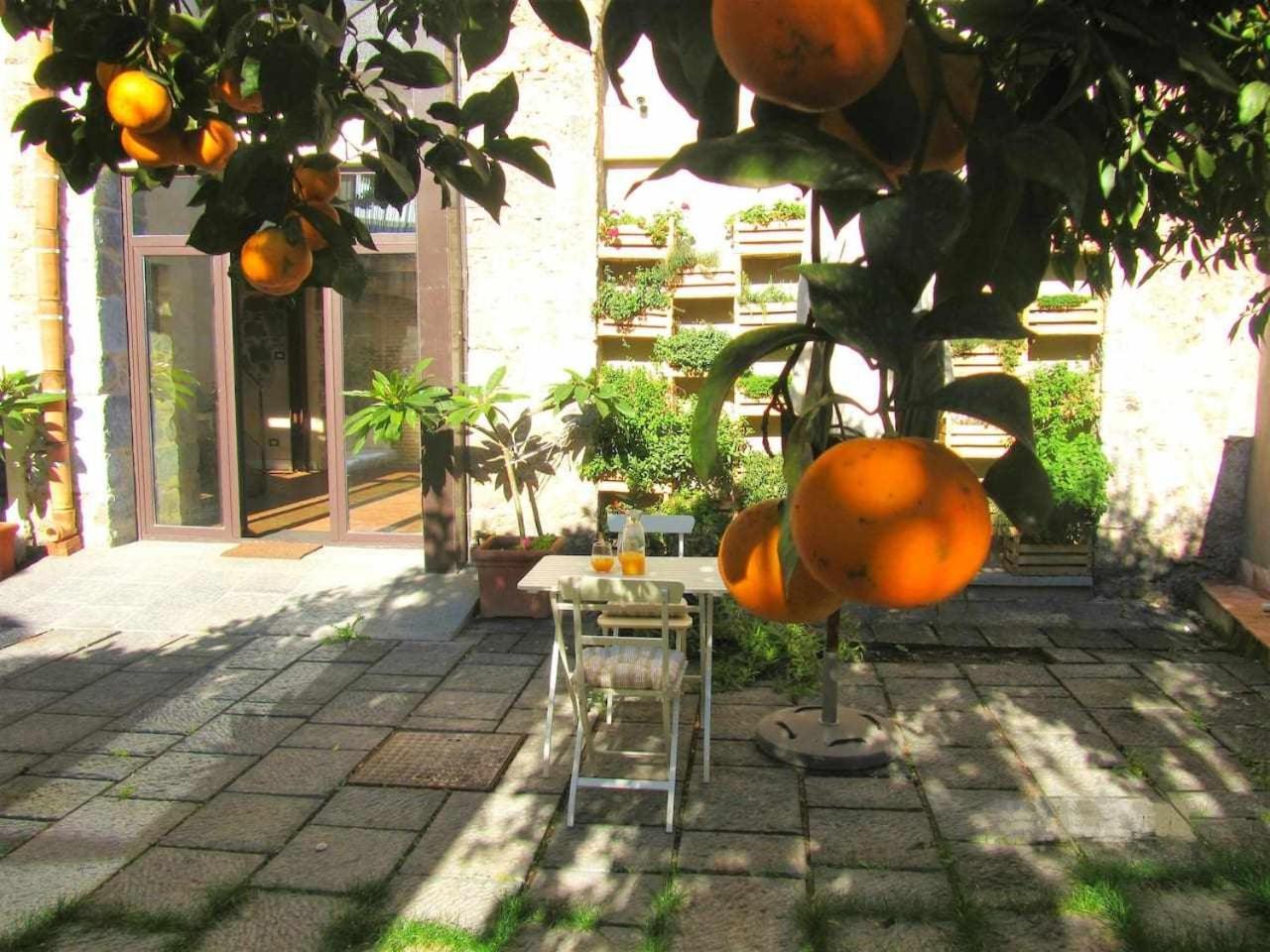 B&B Comeinsicily Cortedeilimoni Charming & Relax Acireale Room photo